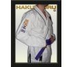 Hakutsuru Jiu-Jitsu BJJ Uniform - White